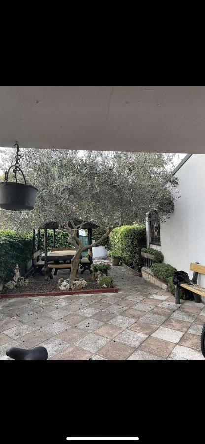 Da Laura Villa Lido Adriano Dış mekan fotoğraf